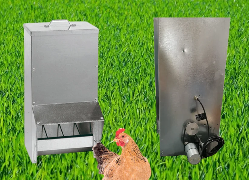 comedero automatico para aves